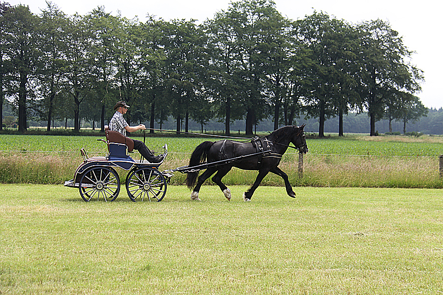 Voorbeeldfoto: Enkelspan 2011